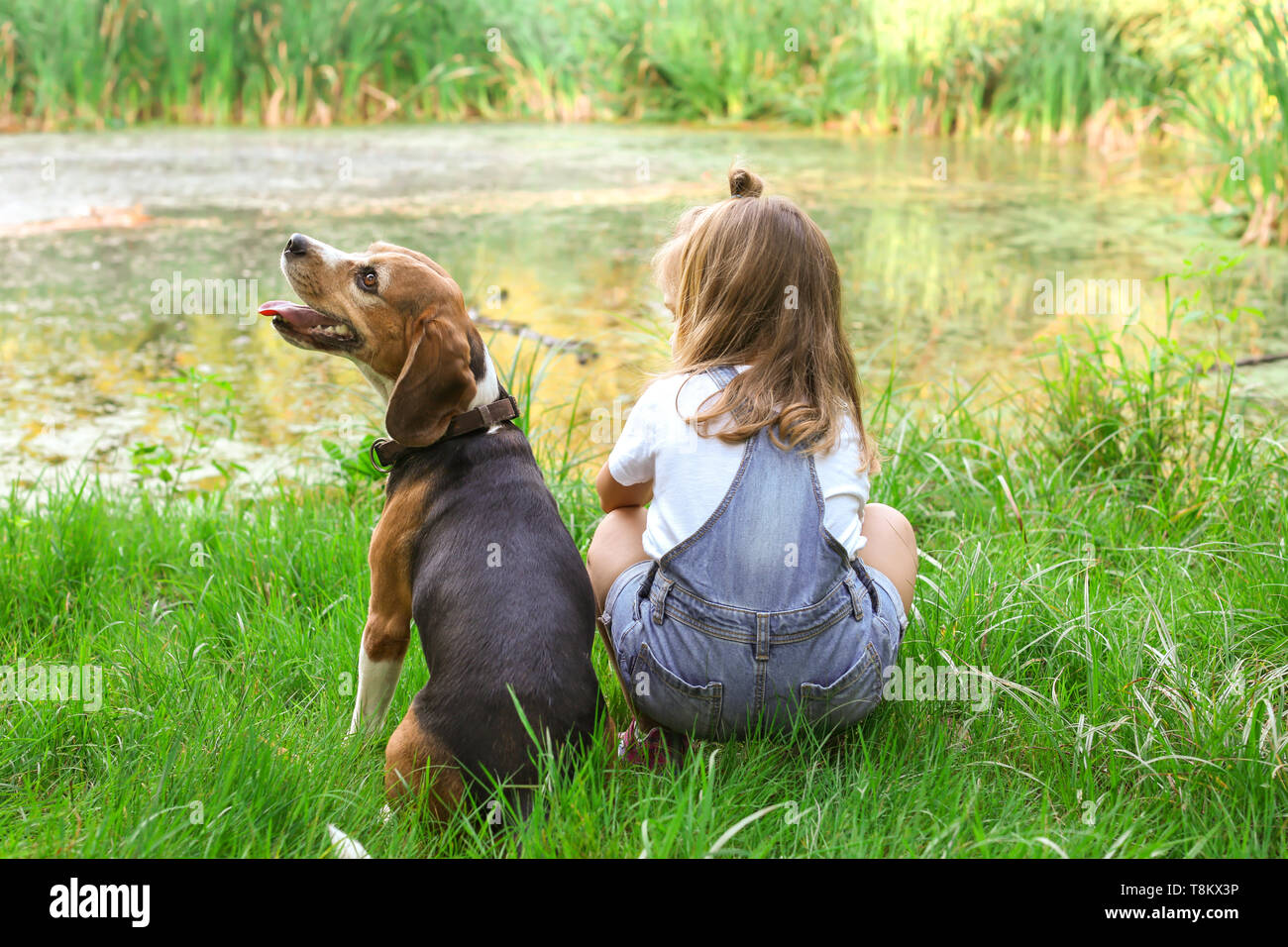 Cute little girl with dog resting in green park Stock Photo - Alamy
