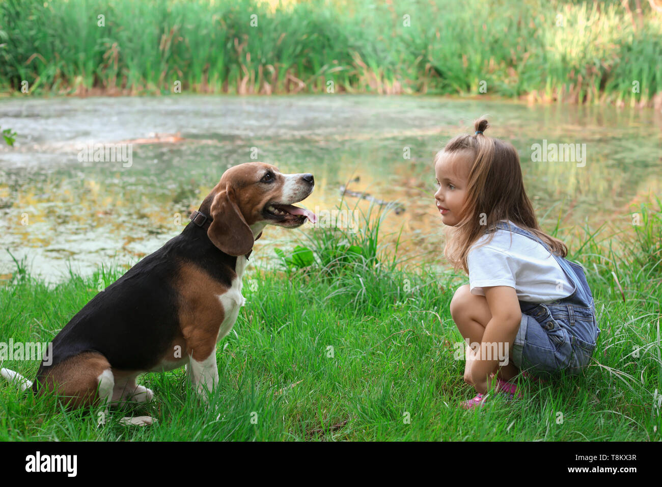 Cute little girl with dog resting in green park Stock Photo - Alamy