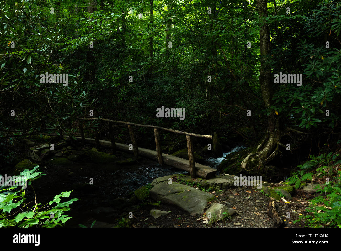 Wooden Bridge Over Creek Stock Photo - Alamy