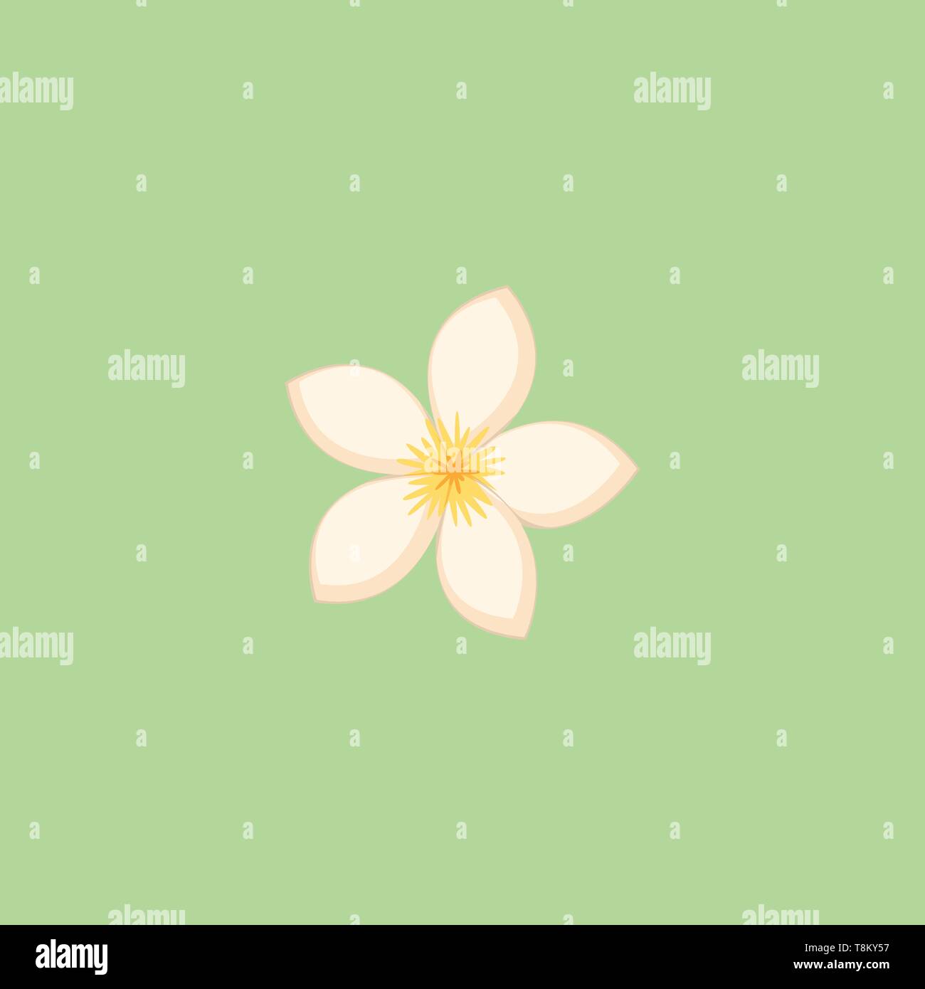 A White Colored Flower With Five Petals In A Green Background Vector Color Drawing Or Illustration Stock Vector Image Art Alamy
