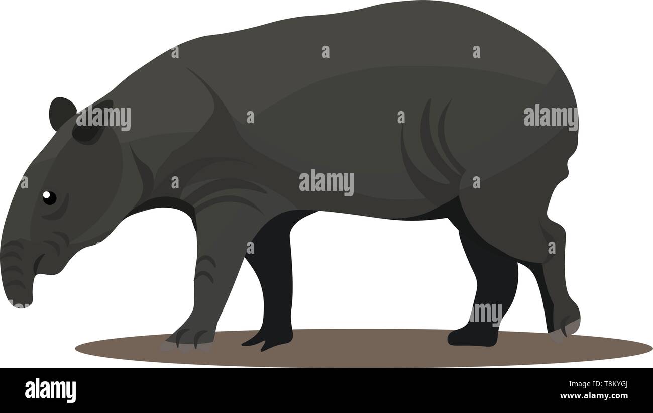 Animal with big nose four legs tiny ears black in color, vector, color drawing or illustration Stock Vector Image & Art - Alamy Animal with big nose four legs tiny ears black in color, vector, color drawing or illustration Stock Vector Image & Art - Alamy