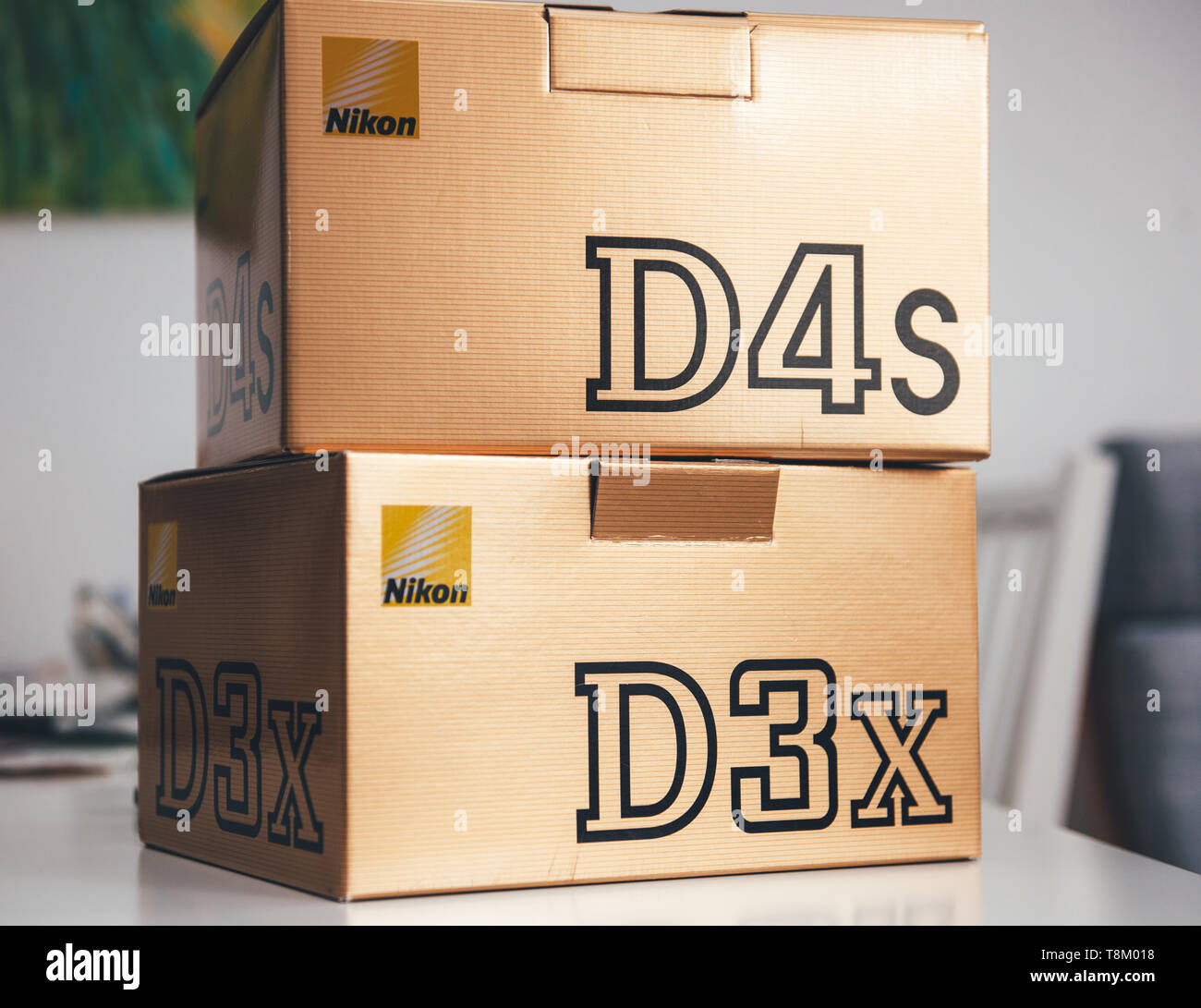 Paris, France - Feb 28, 2017: Cardboard boxes packs with new professional Nikon D3X DSLR and D4s cameras new professional equipment for photo studio  Stock Photo