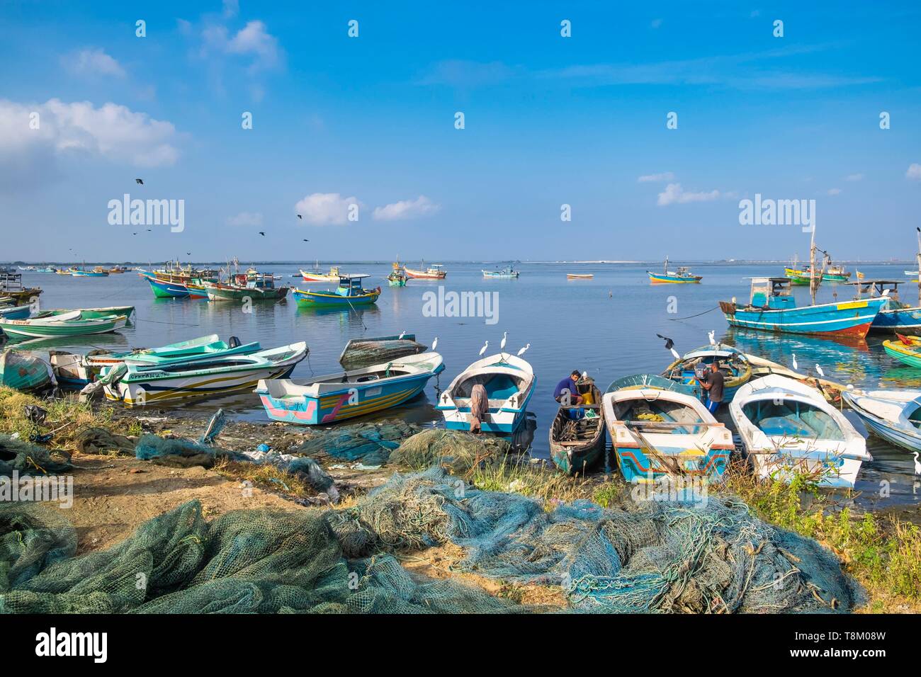 Sri Lanka, Northern province, Jaffna, fishing harbour Stock Photo