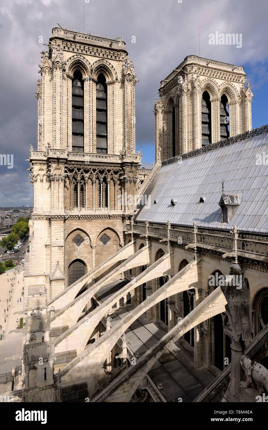 France, Paris, area listed as World Heritage by UNESCO, ile de la Cite
