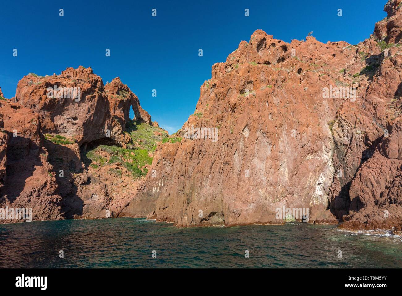 France Corse Du Sud Gulf Of Porto Listed As World Heritage By Unesco Scandola Nature Reserve 1120