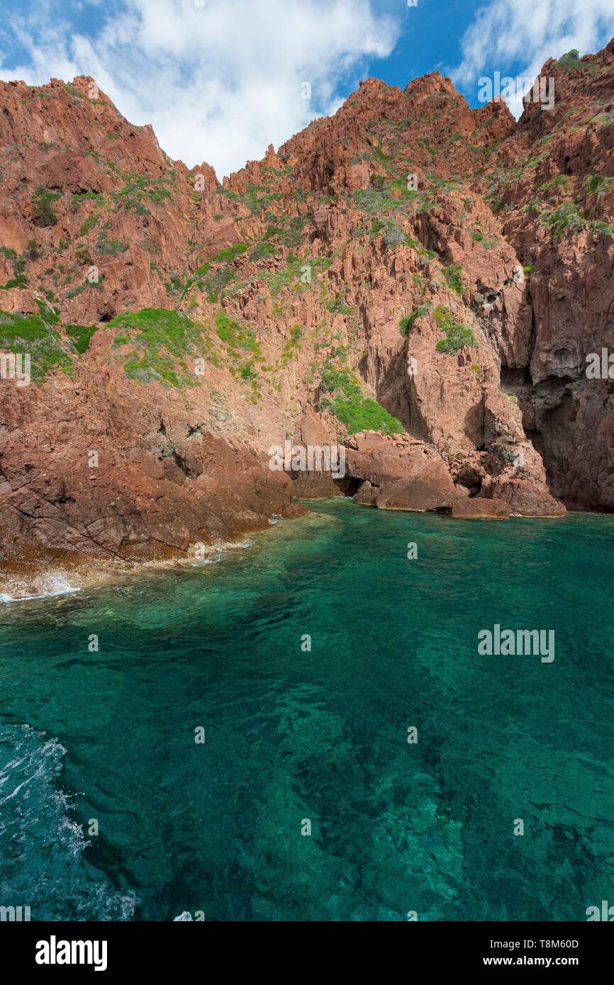 France Corse Du Sud Gulf Of Porto Listed As World Heritage By Unesco Scandola Nature Reserve 2477