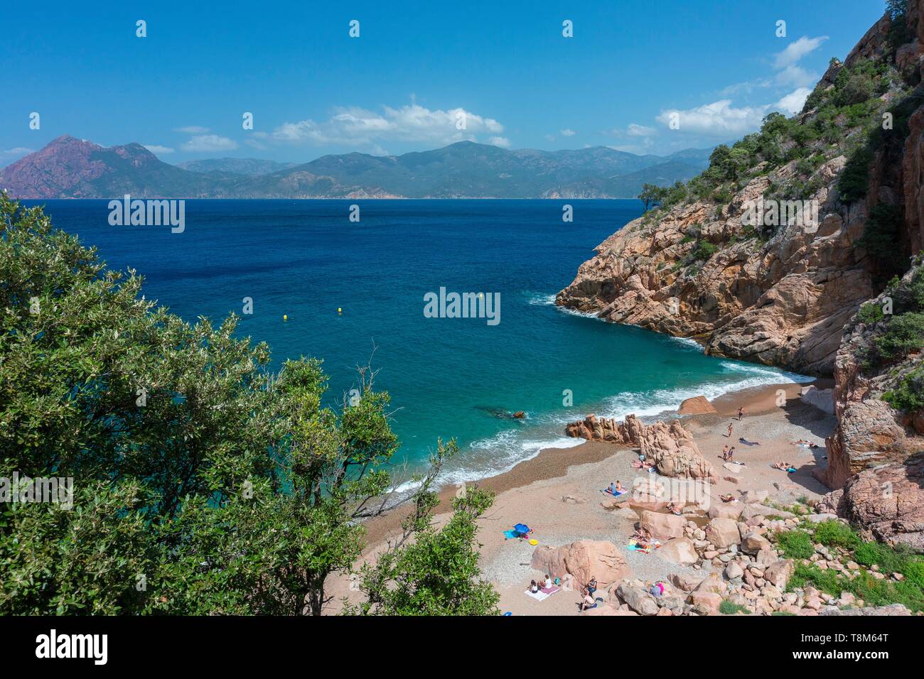 France Corse Du Sud Gulf Of Porto Capo Rosso Anse De