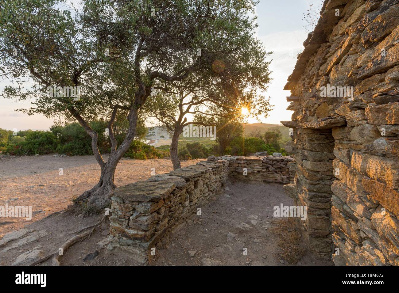 Desert Des Agriates Stock Photos Desert Des Agriates Stock