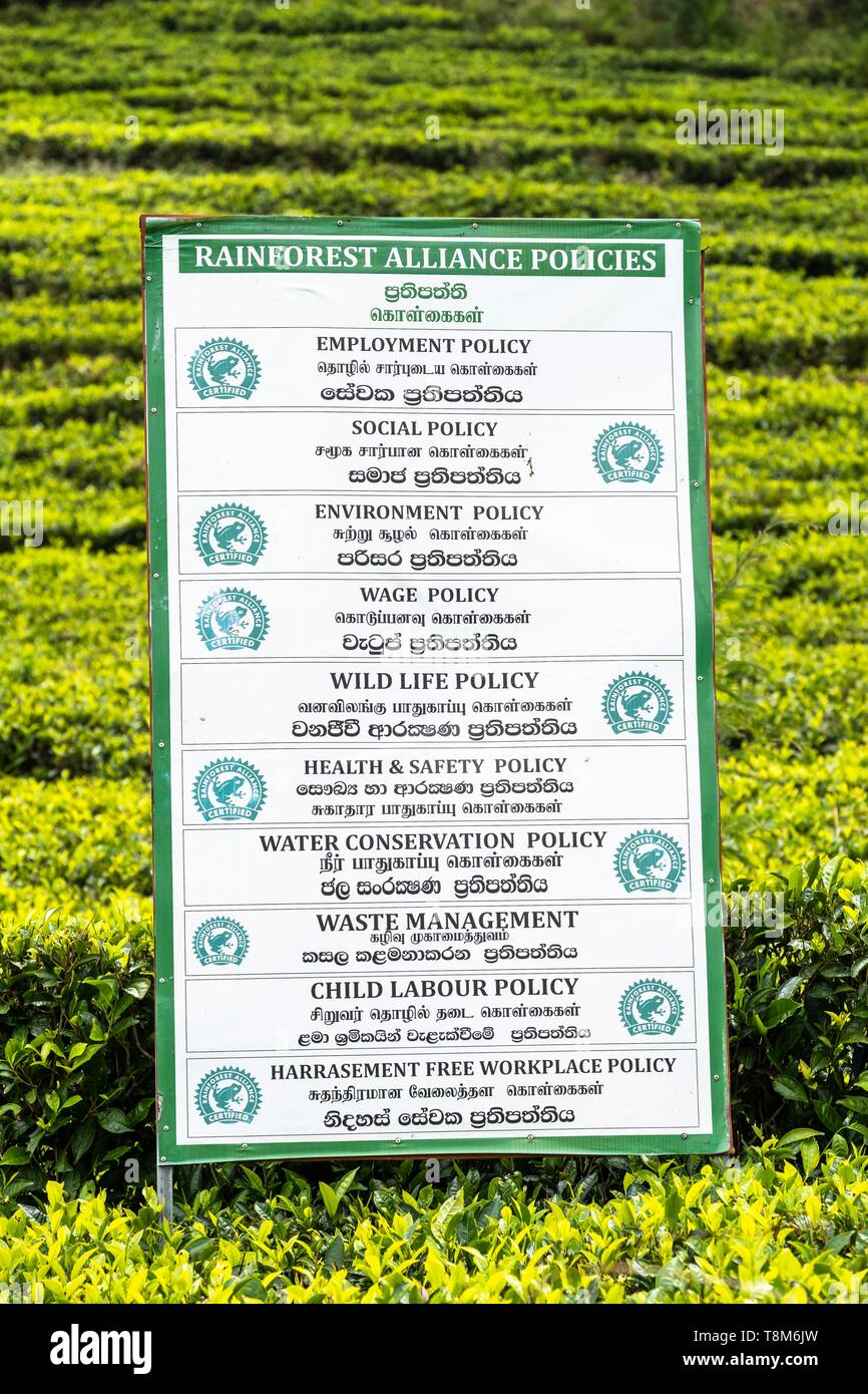 Rainforest alliance tea hi-res stock photography and images - Alamy
