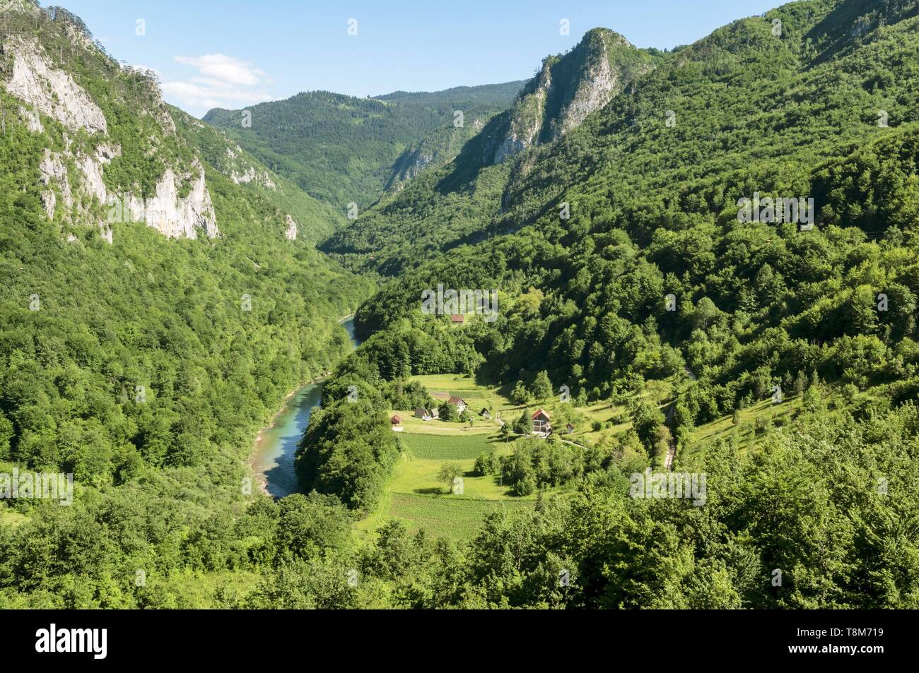 Montenegro, region of Durmitor, Tara Canyon from Durdevika Bridge Stock Photo