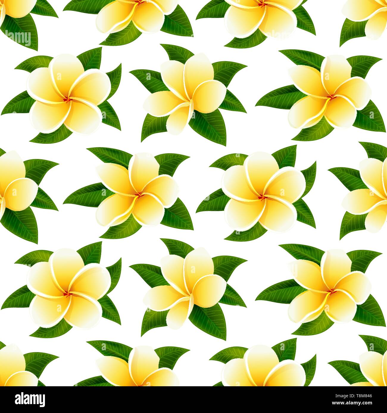 Beautiful tropical flowers seamless floral summer pattern vector background Stock Vector