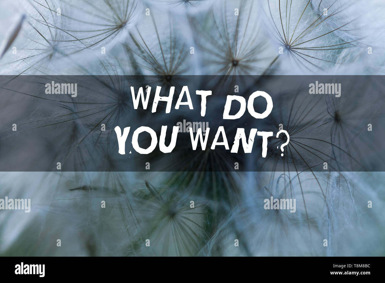 Writing note showing What Do You Want Question. Business concept for ...