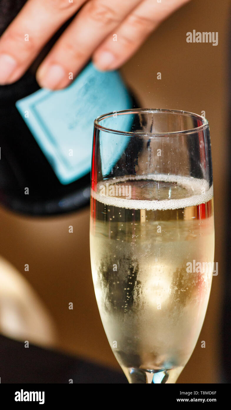 Single flute of champagne with bar tender and champagne bottle. Stock Photo