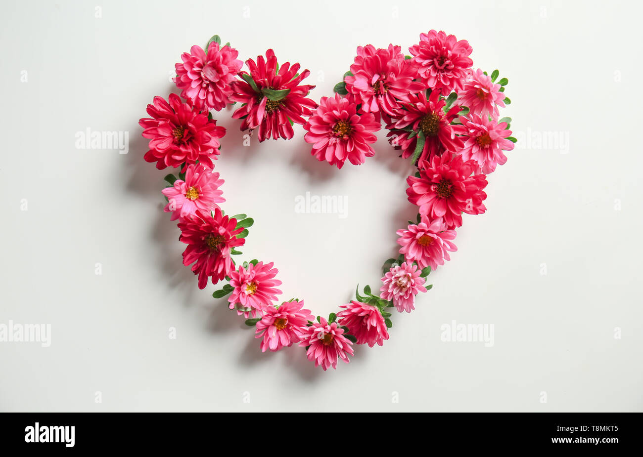 Heart Made Of Beautiful Chrysanthemum Flowers On White Background Stock Photo Alamy