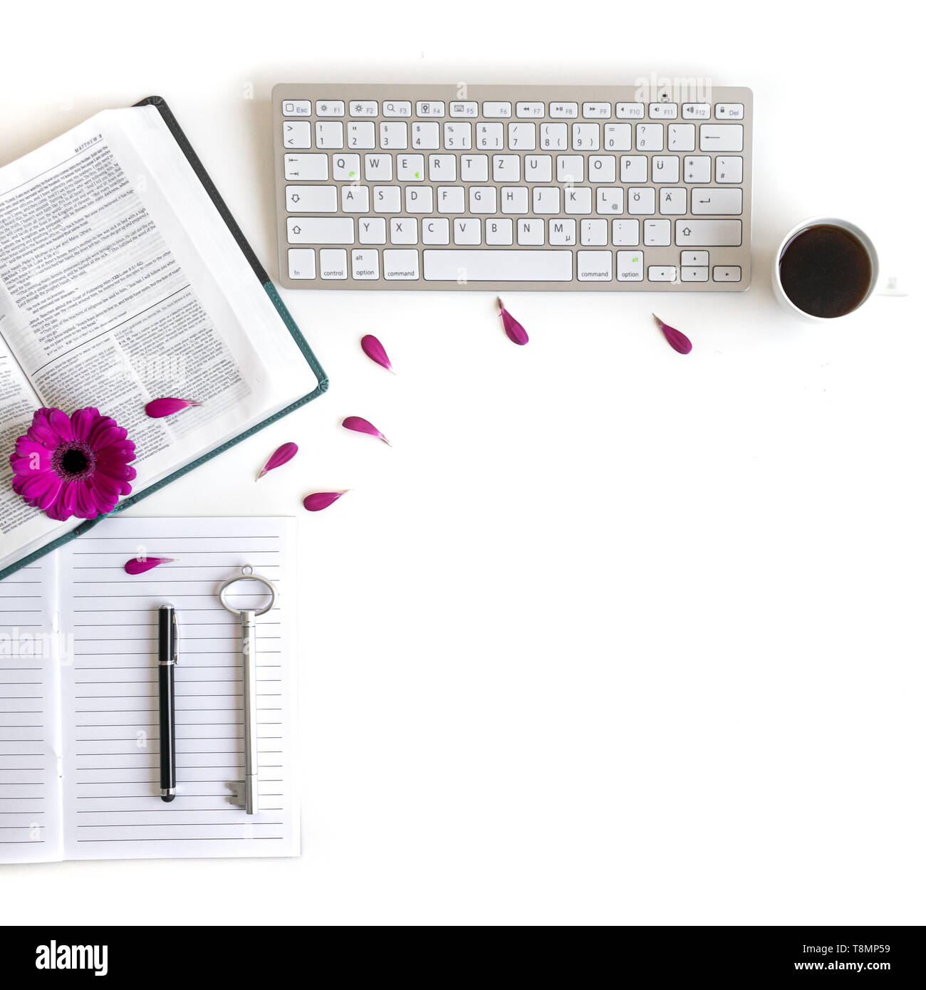 Flat lay open Bible or book and pink, purple, violet, red Gerbera flower on a white background. With pink petals, keyboard, black tea, to do list Stock Photo
