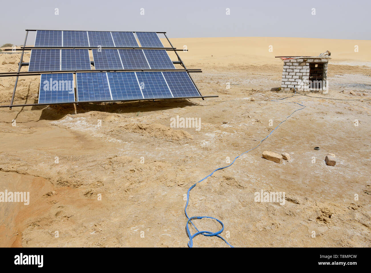 EGYPT, oasis El-Wahat el-Bahariya, desert farming with solar powered pump, field of small scale farmer / AEGYPTEN, Oase Bahariyya, Solar betriebene Pumpe zur Bewaessung eines Feldes eines Kleinbauern Stock Photo