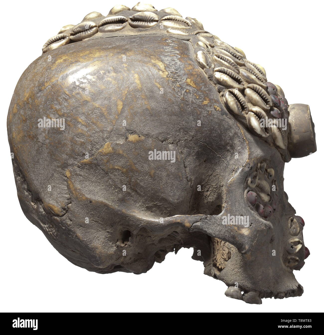 A Papua New Guinean ancestor's skull Human skull without lower jaw, the eye sockets, nasal cavity, forehead and crown decorated with seeds and cowry shells. Surfaces patinated and with signs of age. Most of the teeth of the upper jaw missing. Height 16.5 cm. historic, historical, Indonesian archipelago, Indonesia, Far East, Asia, Asian, ethnology, ethnicity, ethnic, tribal, object, objects, stills, clipping, clippings, cut out, cut-out, cut-outs, Additional-Rights-Clearance-Info-Not-Available Stock Photo