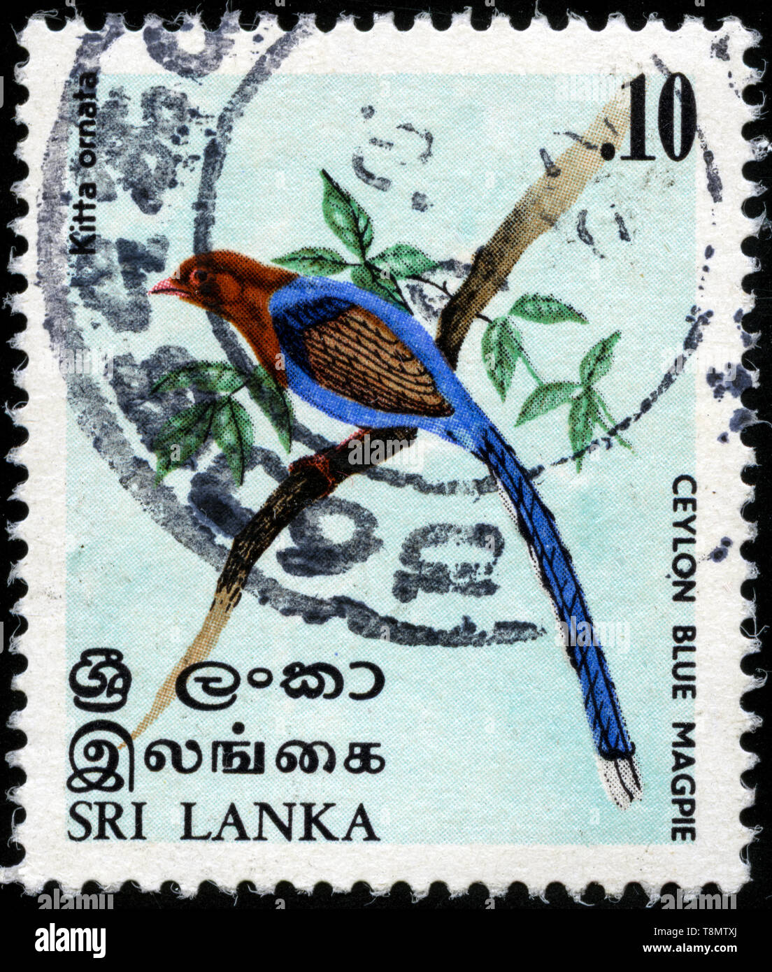 Postmarked stamp from Sri Lanka in the Birds 1979 series Stock Photo ...