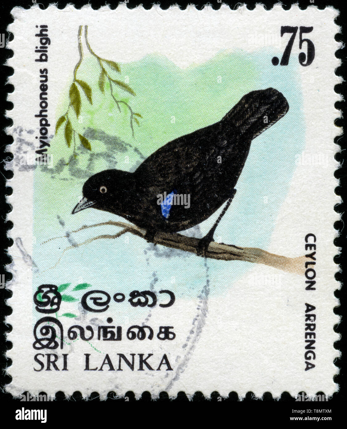 Postmarked stamp from Sri Lanka in the Birds 1979 series Stock Photo ...