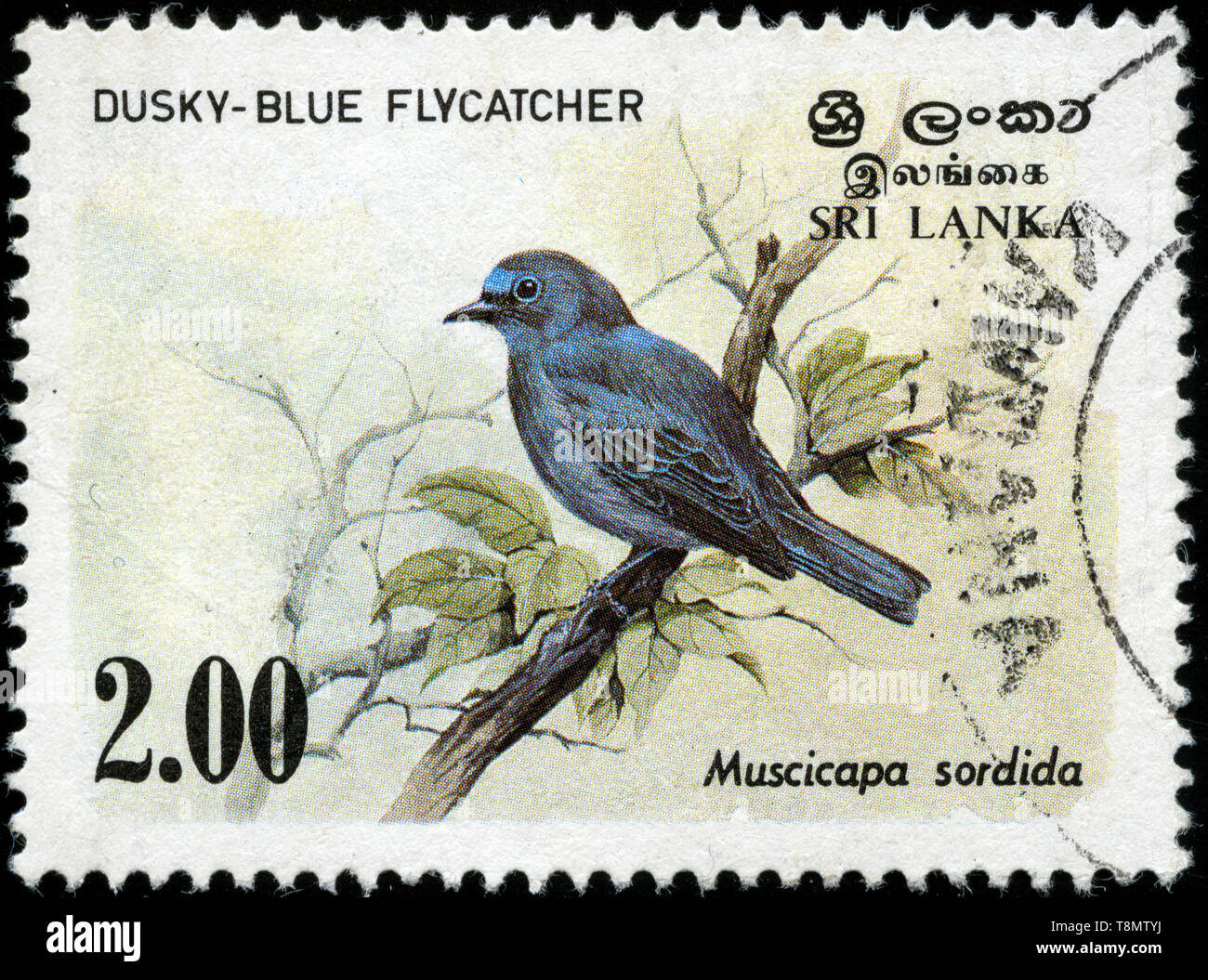 Postmarked stamp from Sri Lanka in the Birds 1983 series Stock Photo ...