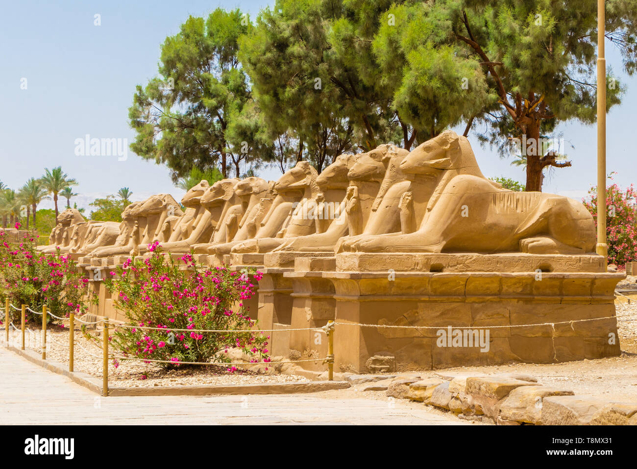 Statues in the Alley of the Ram-Headed Sphinxes at the Temple of Karnak in Luxor, Egypt Stock Photo