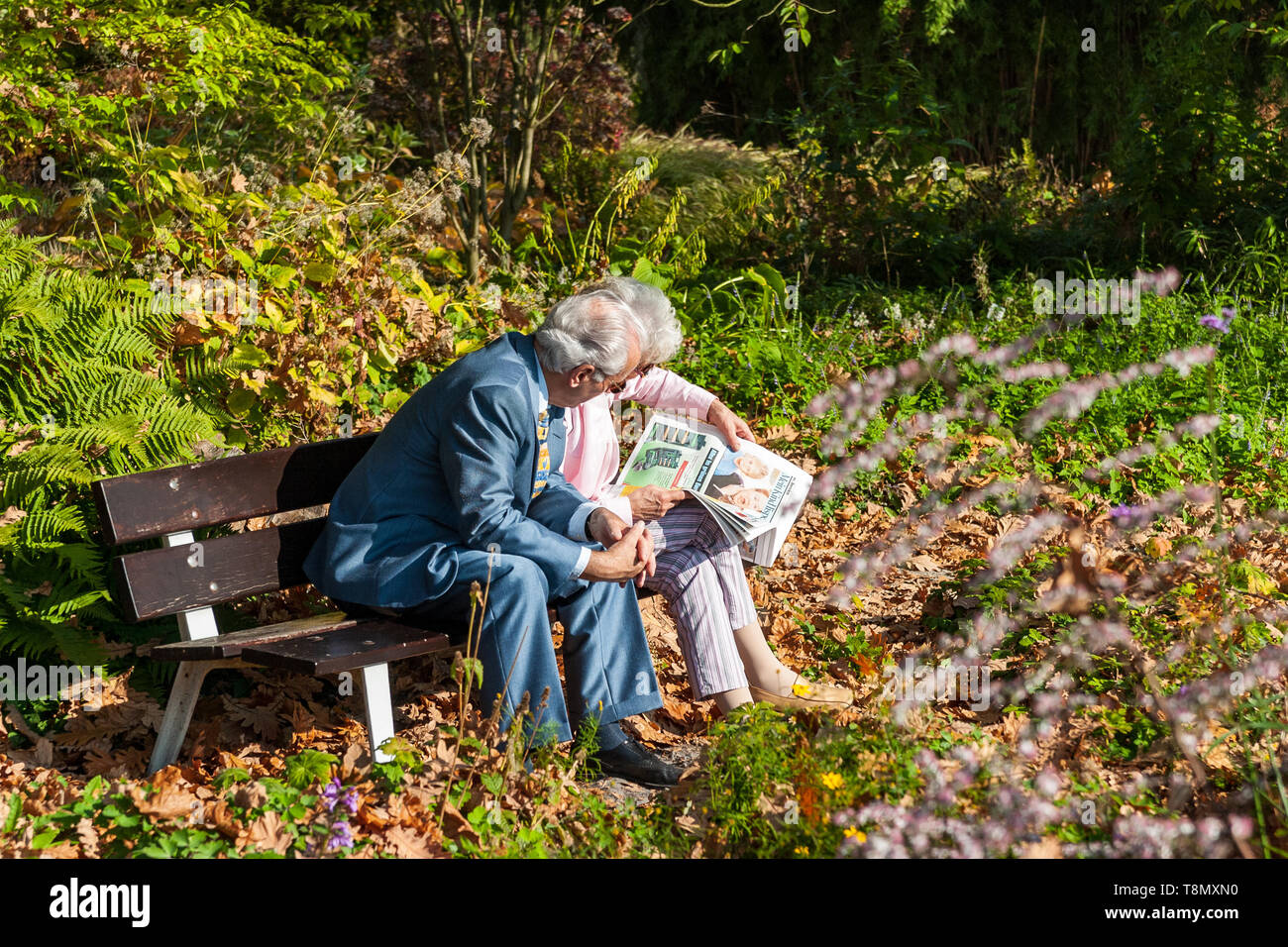 Active senior couple sitting in park on a bench and reading together ...