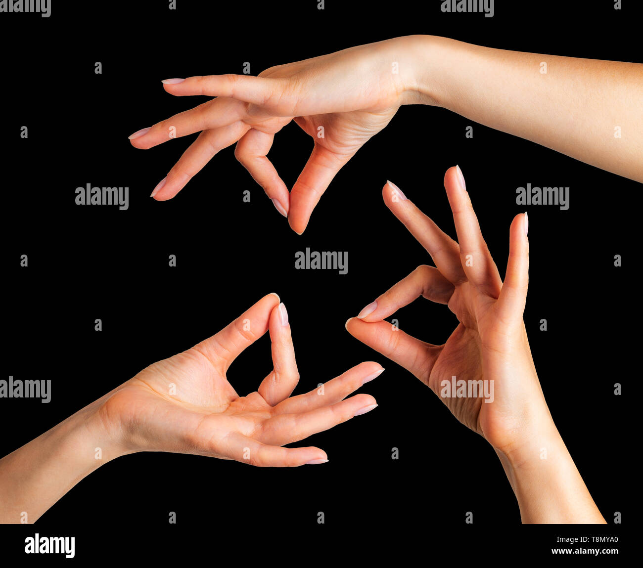 Hands gesture, hand poses, Human hand gestures. Hand gesture communication  14546055 Stock Photo at Vecteezy