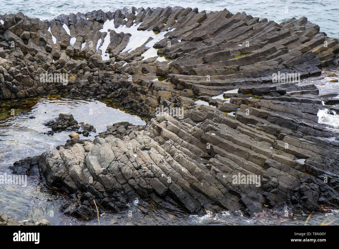 Columnar joint in the sea Stock Photo Alamy