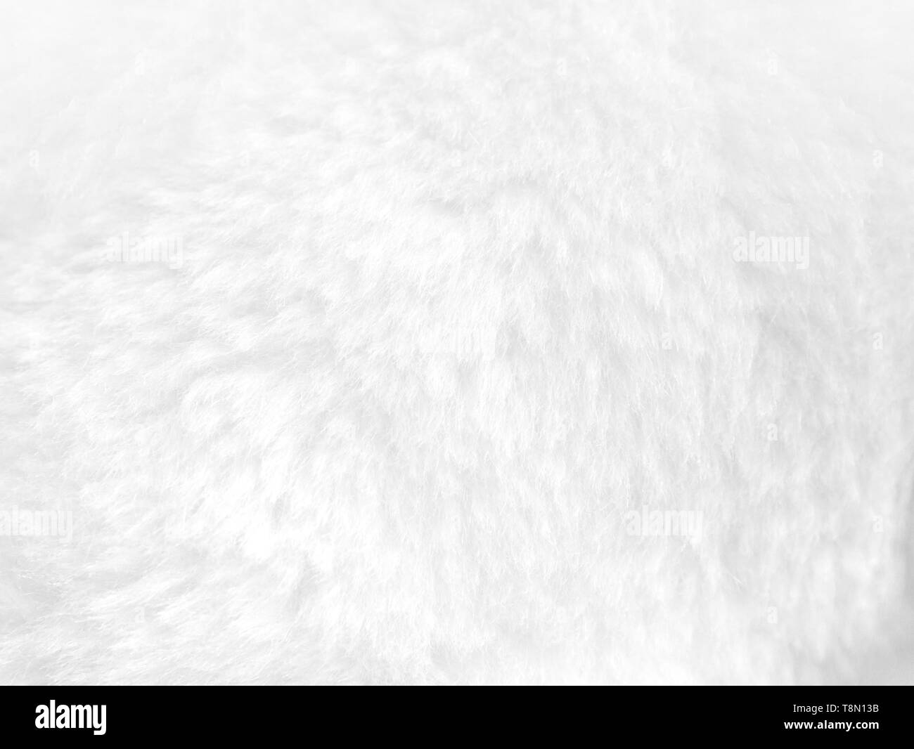 Clean white fur background close up view Stock Photo Alamy