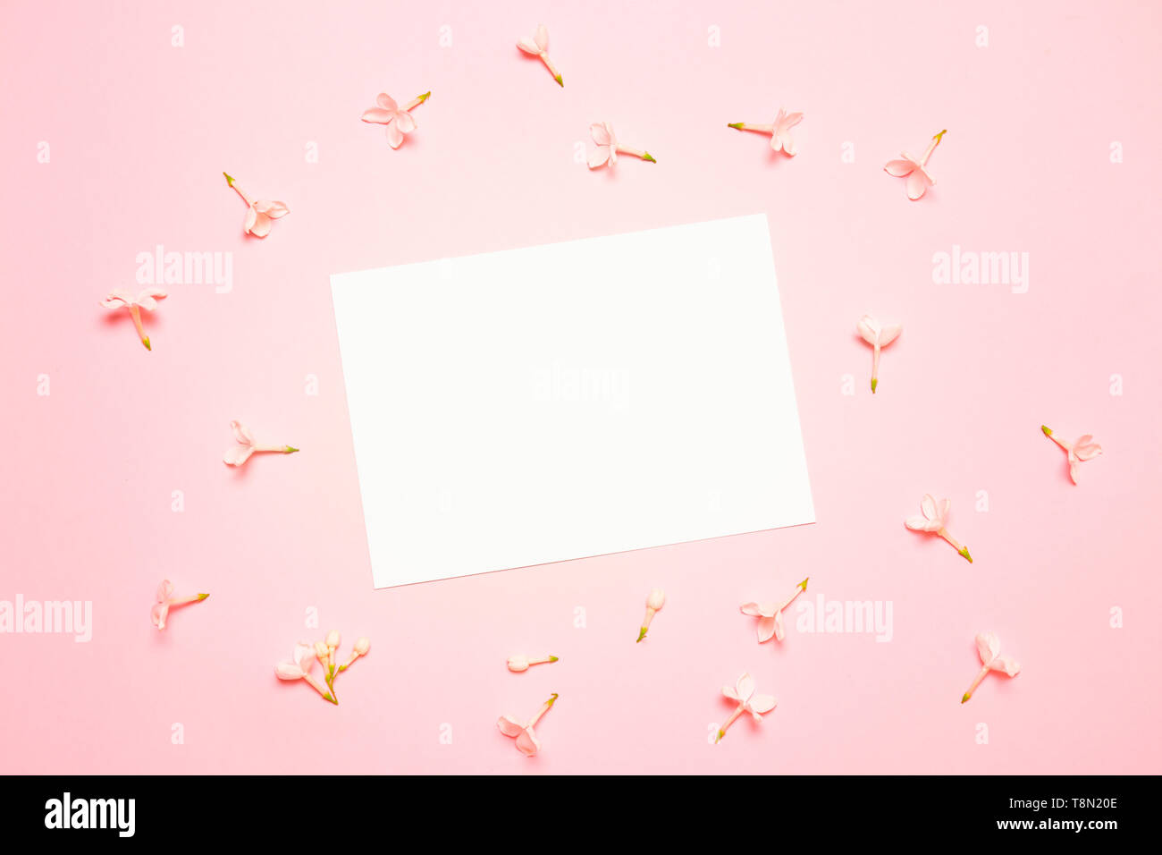 Mother day. Top view of a letter with flowers, flat lay Stock Photo - Alamy