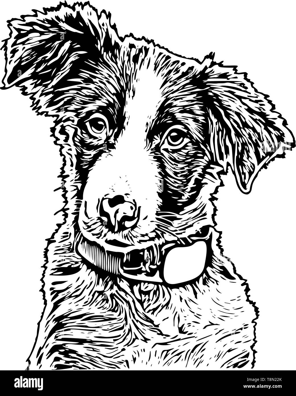 Vector Illustration of a Dog Stock Vector Image & Art - Alamy