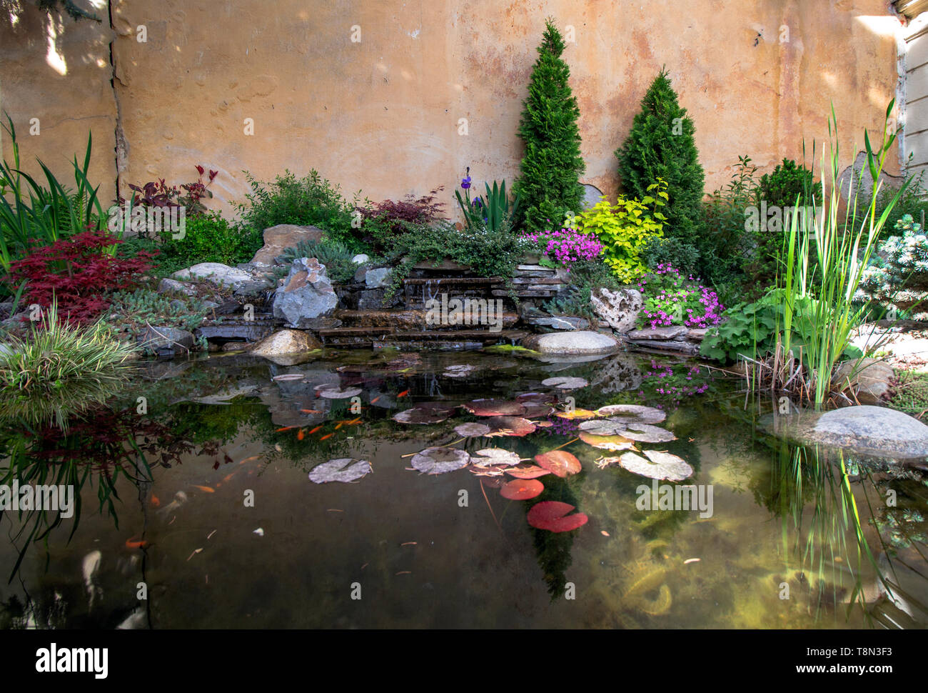 Rockery with different flowers and shrubs on a lake with goldfish Stock ...