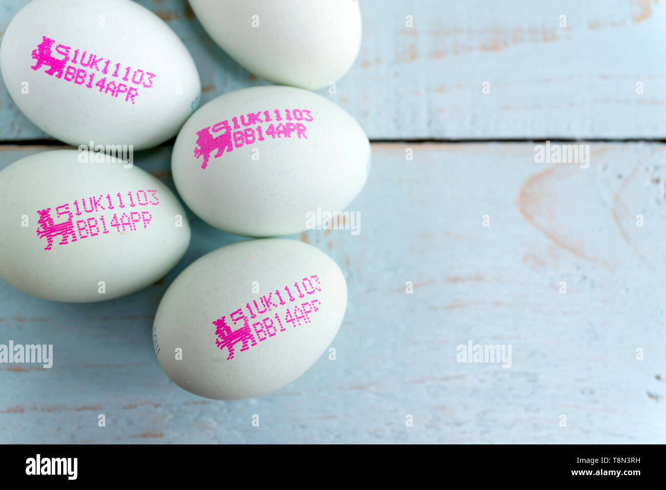'British Blue' eggs, showing the British Lion Mark, a food safety standard. England, UK. Stock Photo