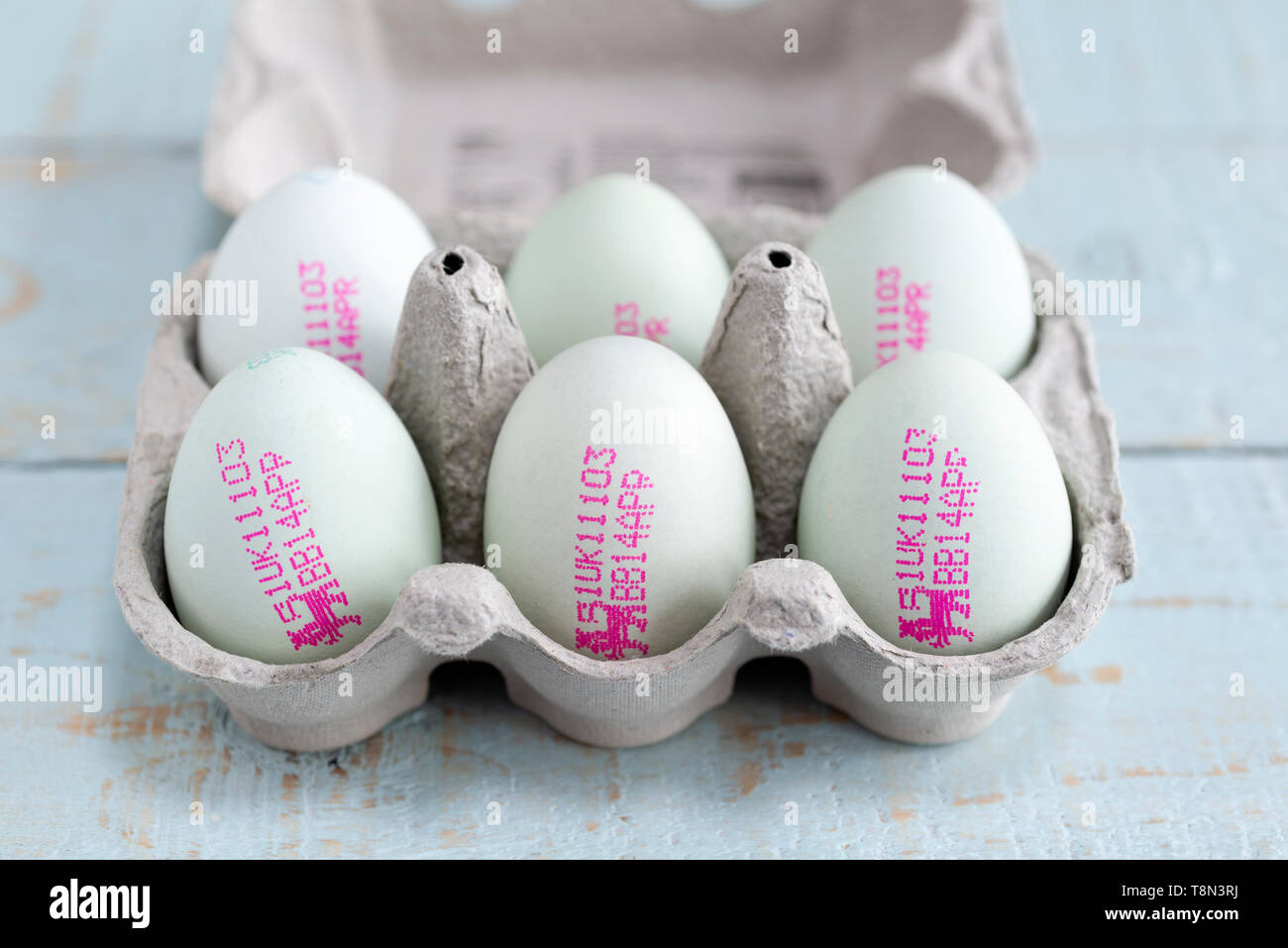 'British Blue' eggs, showing the British Lion Mark, a food safety standard. England, UK. Stock Photo