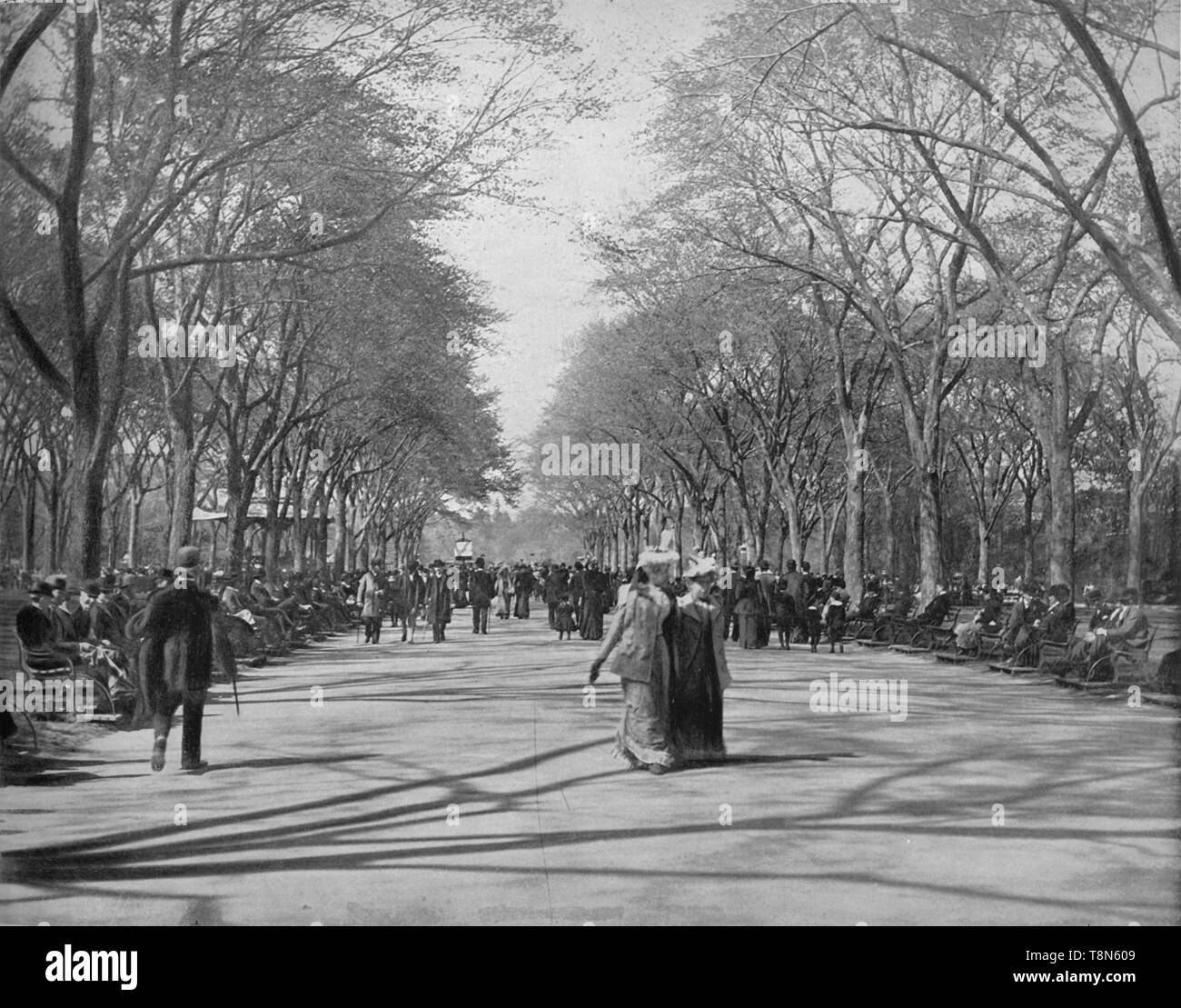 'The Mall, Central Park, New York', c1897. Creator: Unknown. Stock Photo