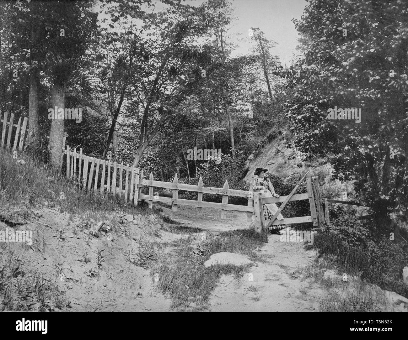 'In the Berkshire Hills, Massachusetts', c1897. Creator: Unknown. Stock Photo