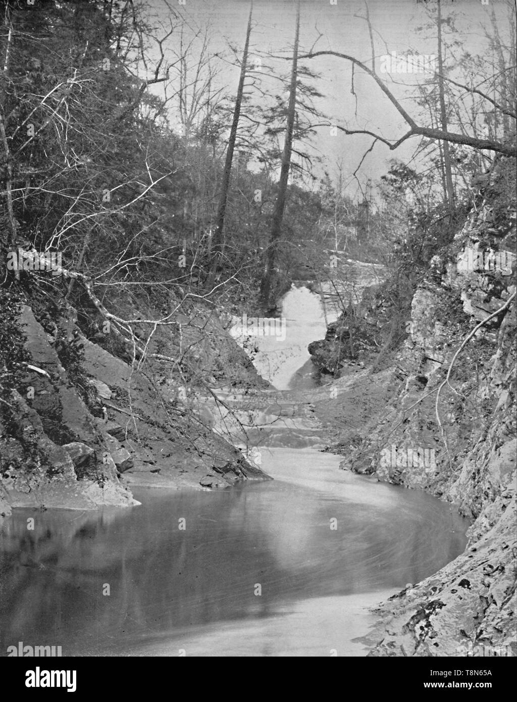 'Lace Waterfalls and Dragon's Pool, Natural Bridge, Virginia', c1897