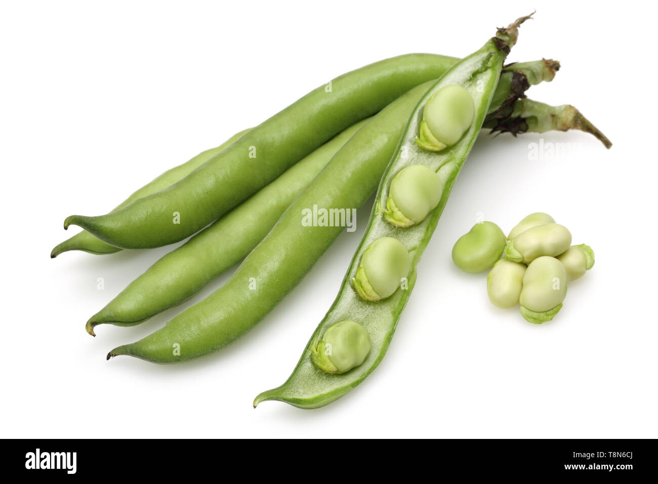 Fresh green broad bean isolated on white background Stock Photo