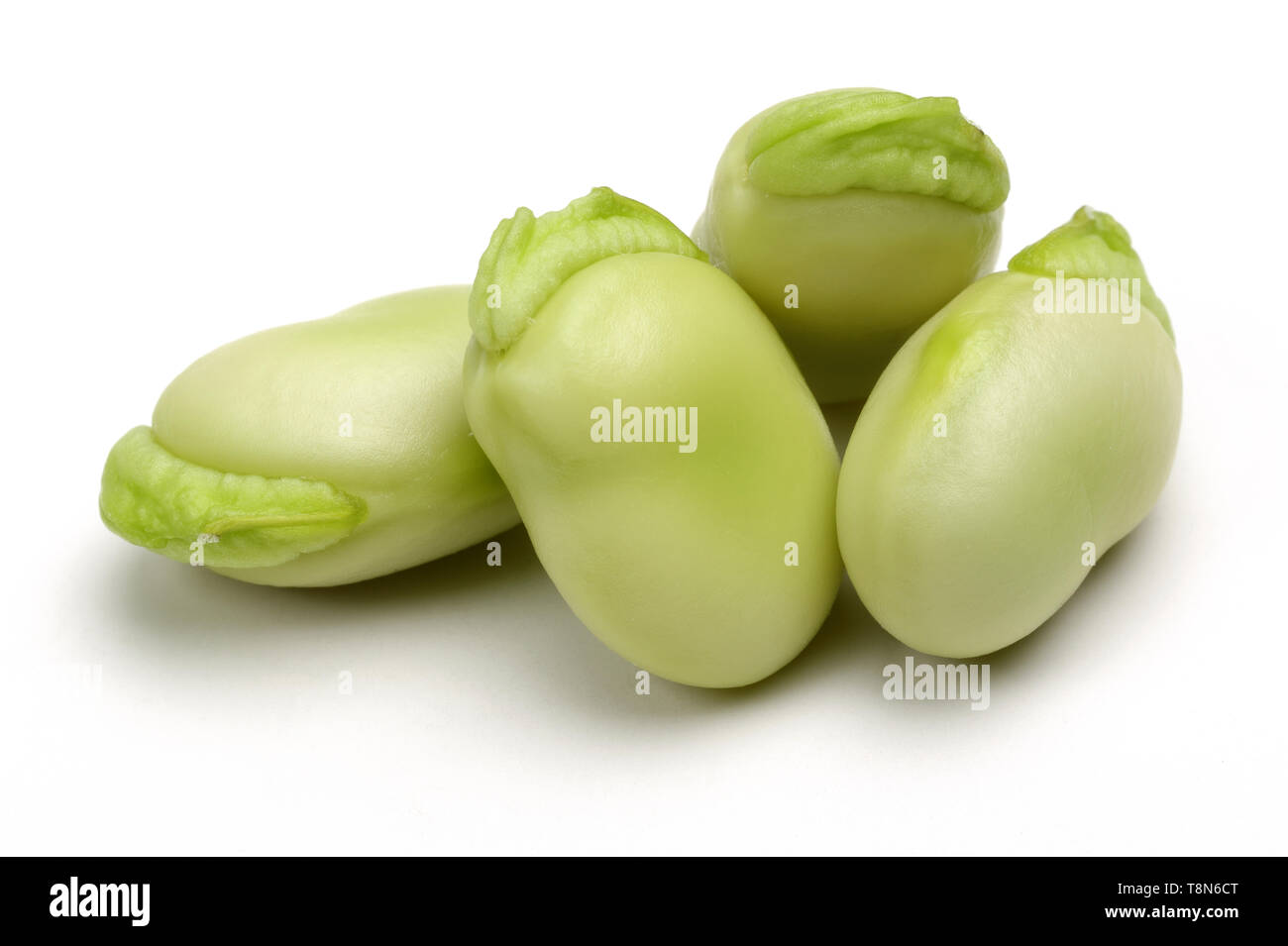 Fresh green broad bean isolated on white background Stock Photo