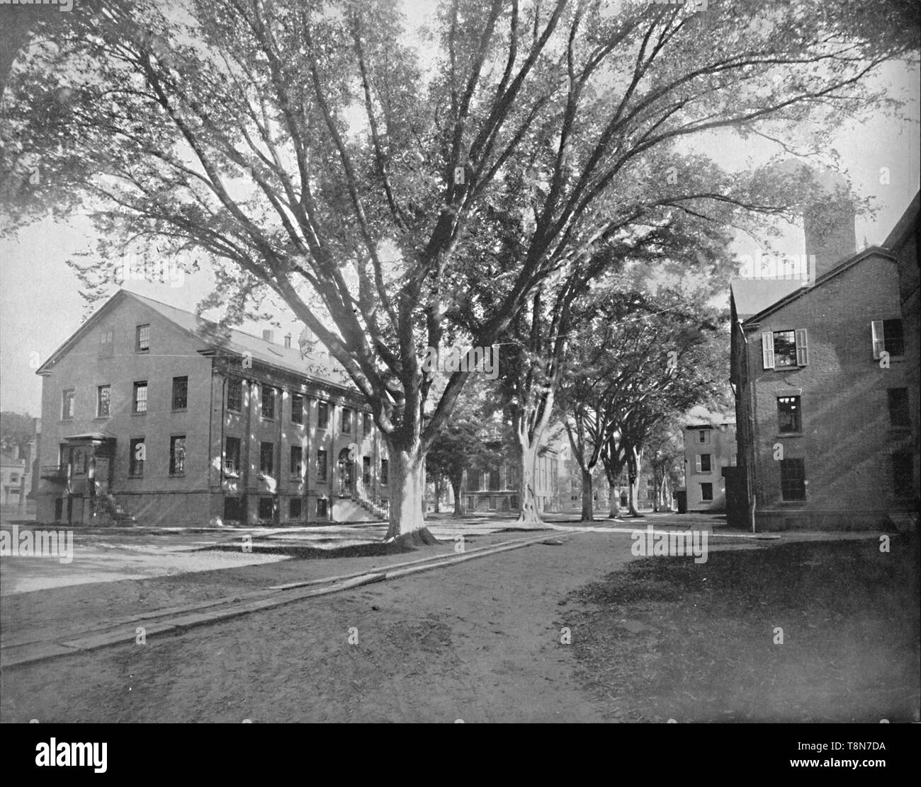 'Reading Hall and Treasury, Yale College, New Haven, Conn.', c1897. Creator: Unknown. Stock Photo