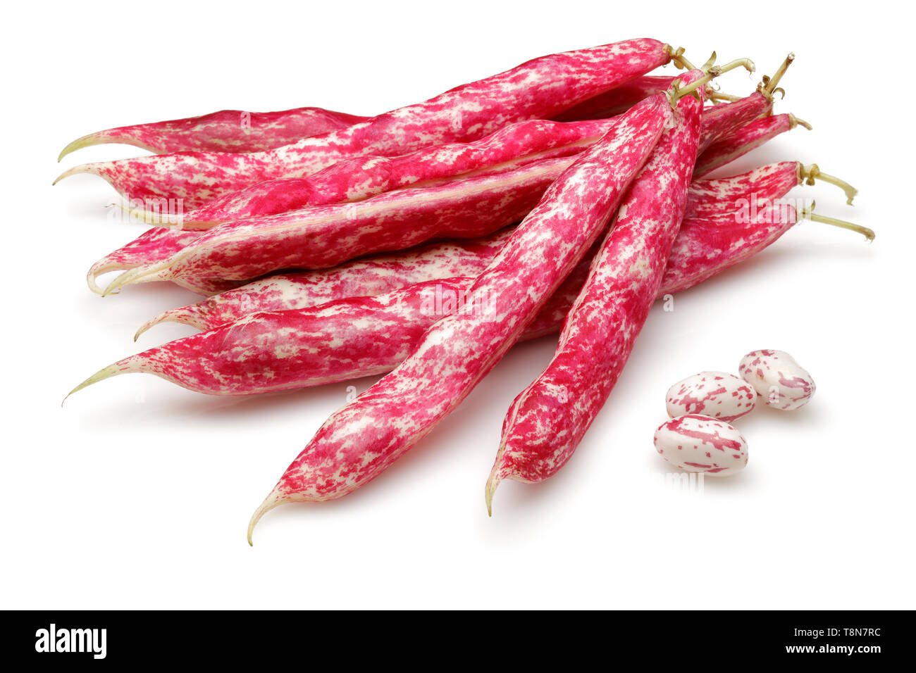 Fresh pinto beans isolated on white background Stock Photo Alamy