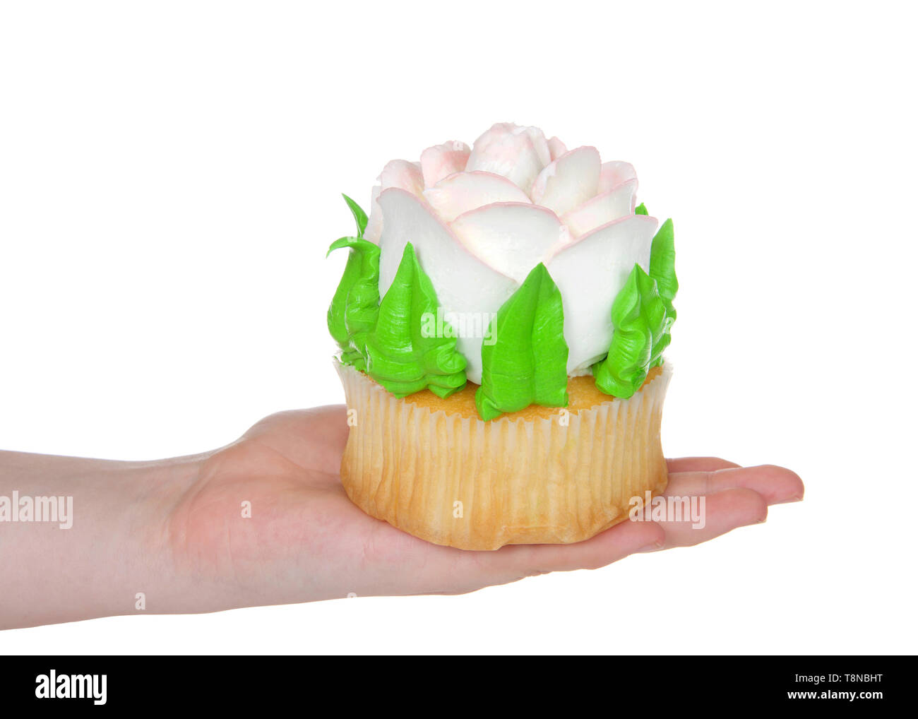 Hand holding Large cup cake with giant frosting rose. Simple design with copy space for Mother's Day, Valentine's Day, Quinceanera or birthday Stock Photo