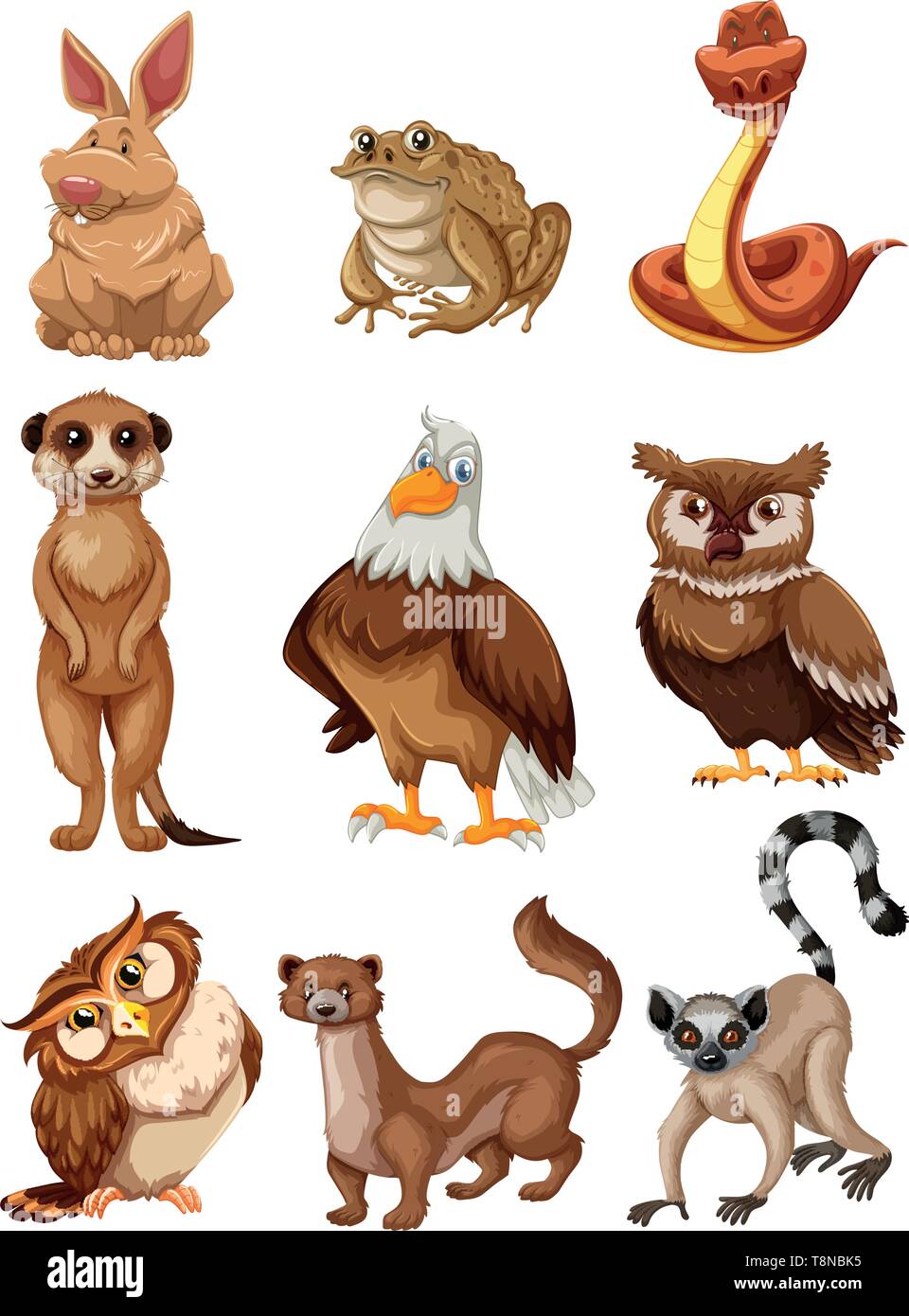 Set of wild animals illustration Stock Vector Image & Art - Alamy