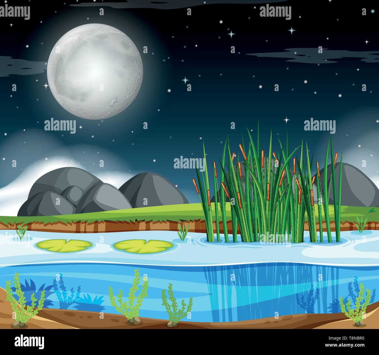 A landscape at night illustration Stock Vector Image & Art - Alamy