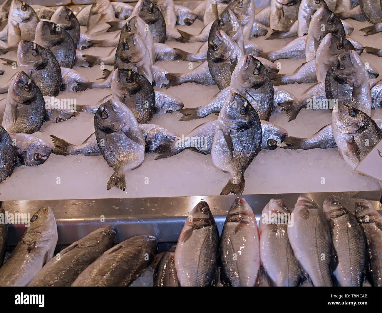 Fresh whole fish on ice at a food market Stock Photo - Alamy