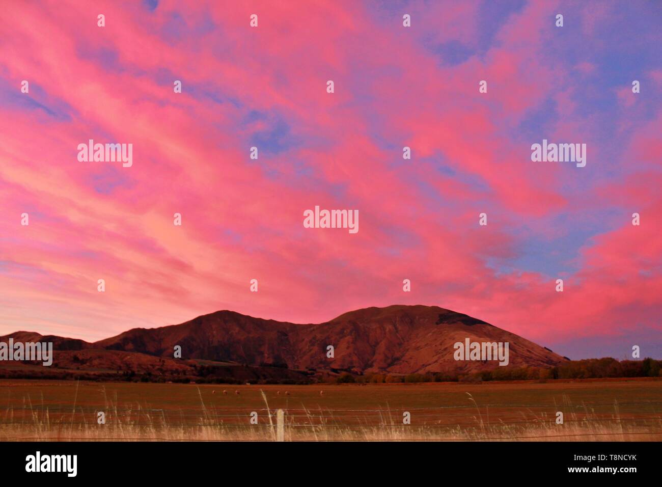 A pinky evening soaked in sunset vibes in Queenstown, New Zealand. A perfect background for motivational, inspiration quotes. Stock Photo