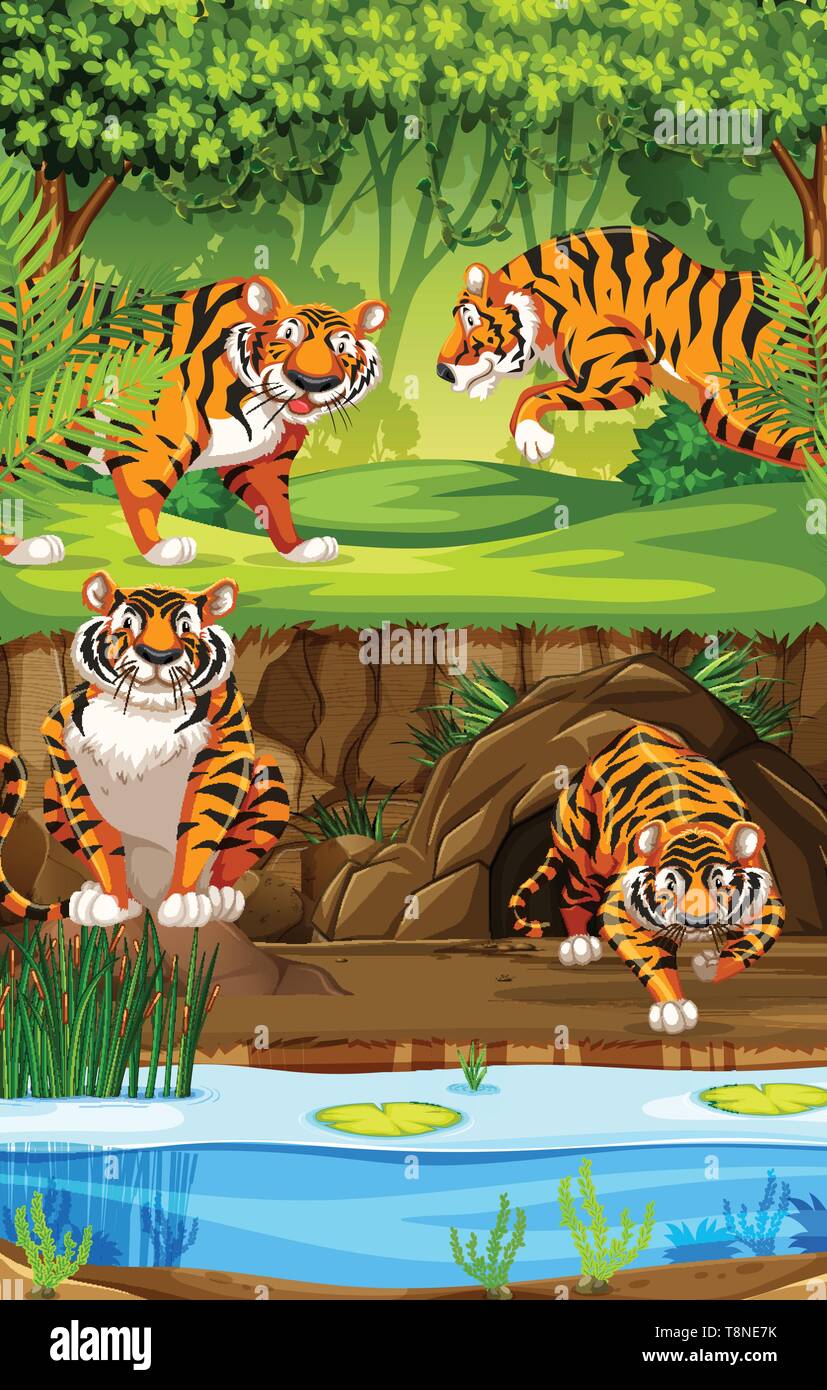 Tiger In The Forest Illustration Stock Vector Image Art Alamy Tiger In The Forest Illustration Stock Vector Image Art Alamy
