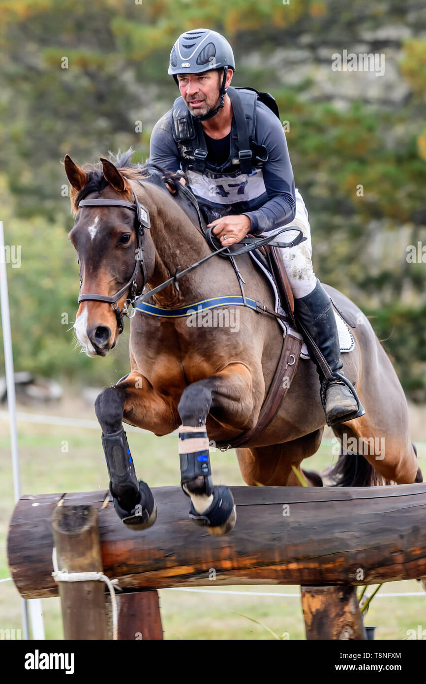 Riders competing at the Marcus Oldham Ballarat International Horse