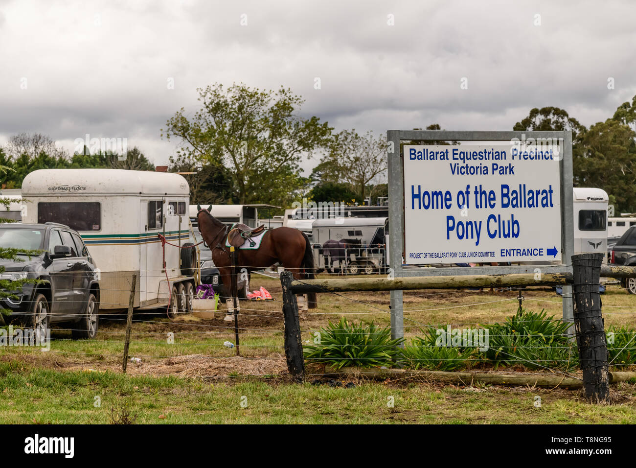 Riders competing at the Marcus Oldham Ballarat International Horse