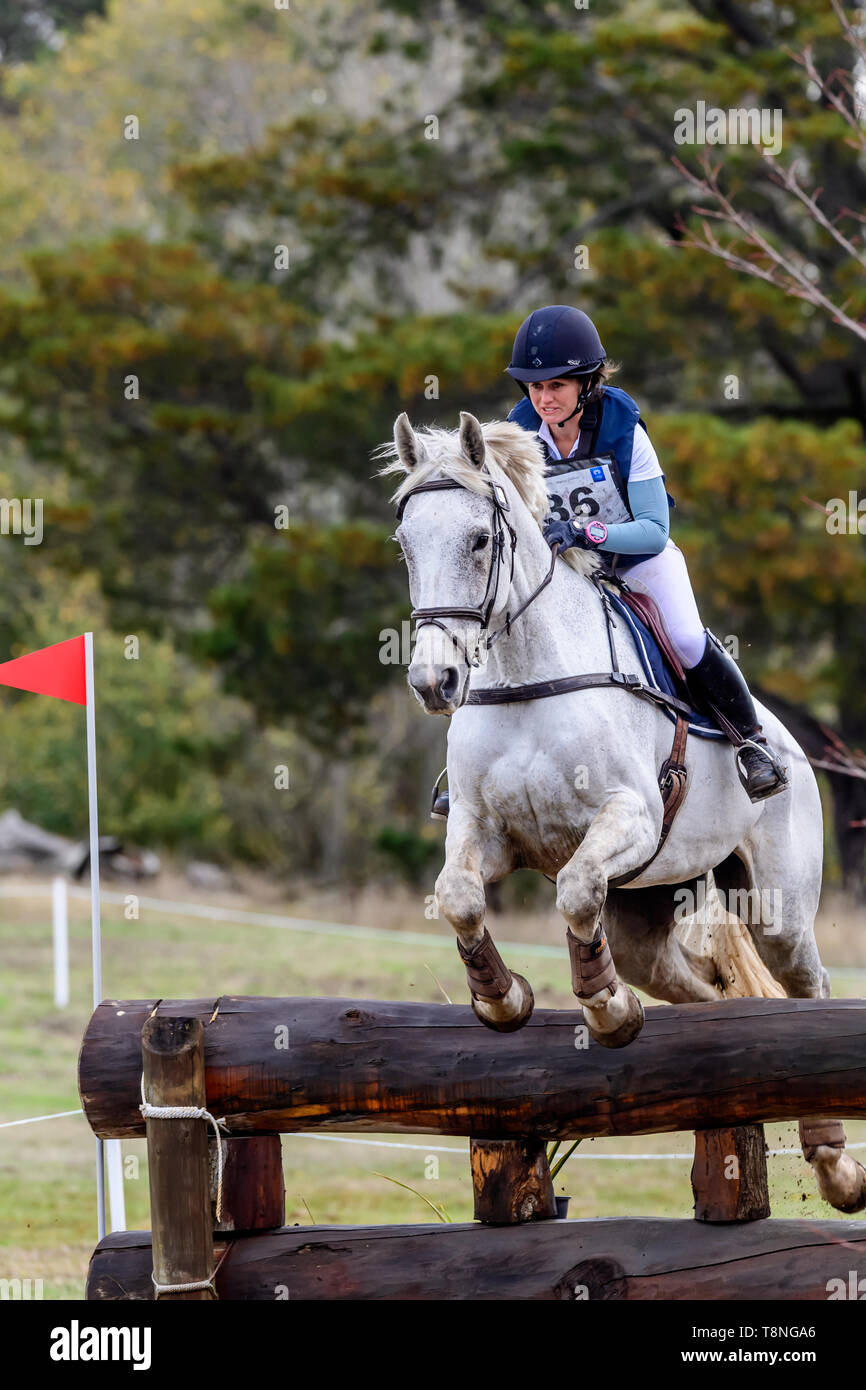 Riders competing at the Marcus Oldham Ballarat International Horse
